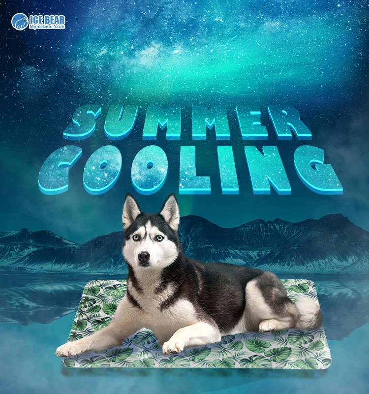 50X65cm Waterproof Scratch-Resistant Summer Long Lasting Non-Toxic Gel Dog Cooling Mat Pet Ice Cooling Pad Cool Bed Mattress